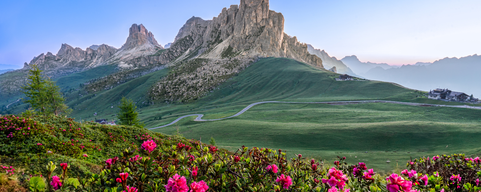 <div class='title'>
          Untitled design
        </div>