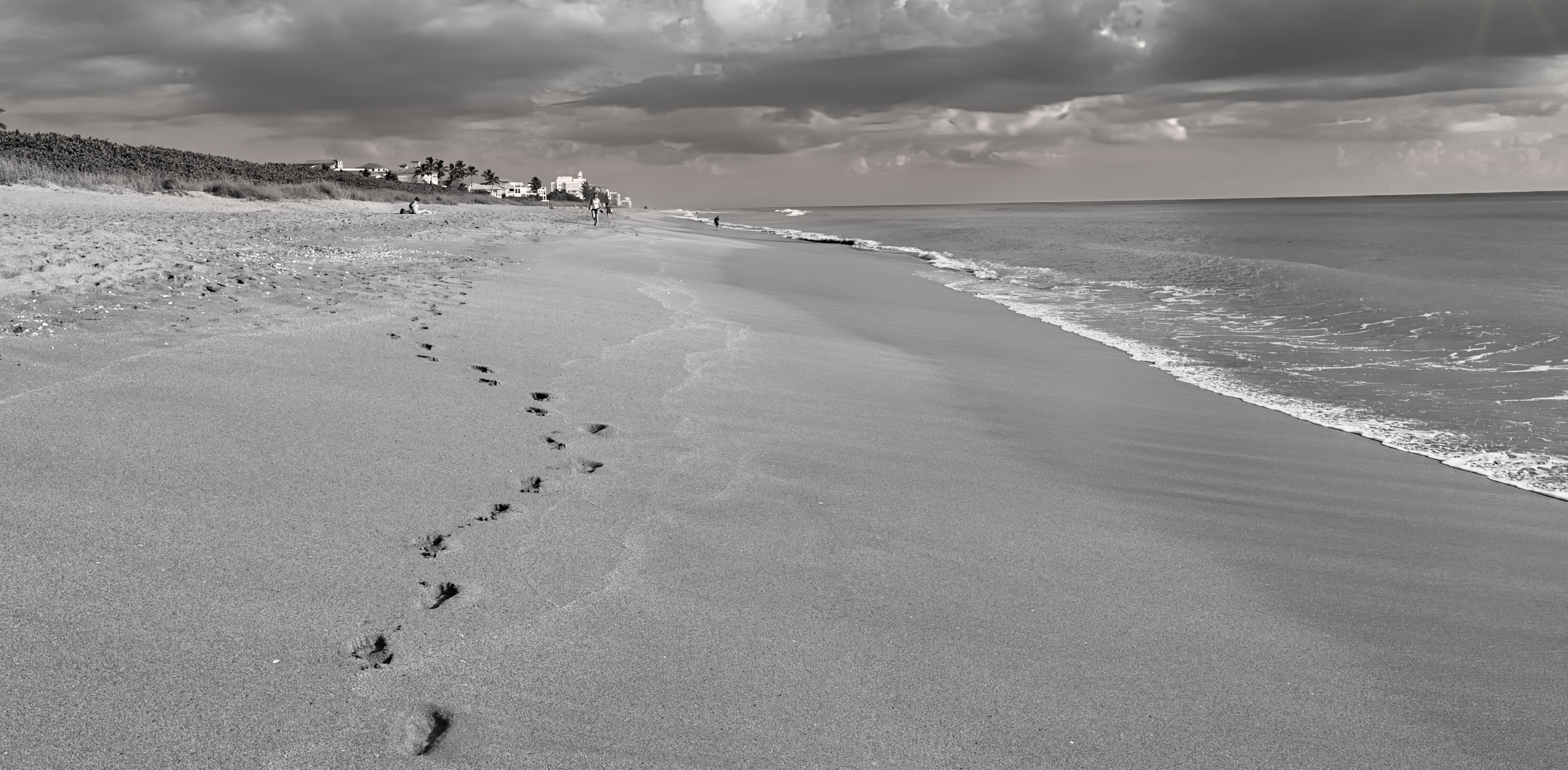 
        <div class='title'>
          Beach Footprints In The Sand
        </div>
       
