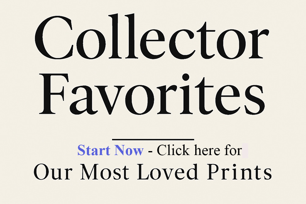 Collector favs pyulks
