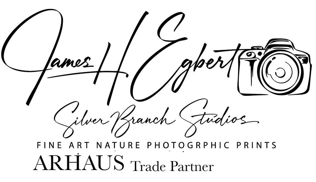 James H Egbert, Silver Branch Studios,   An ARHAUSE Trade Partner