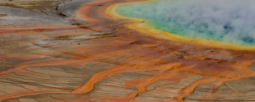 
        <div class='title'>
          Untitled design (1)
        </div>
       