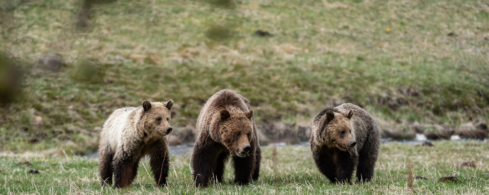 
        <div class='title'>
          Untitled design (2)
        </div>
       