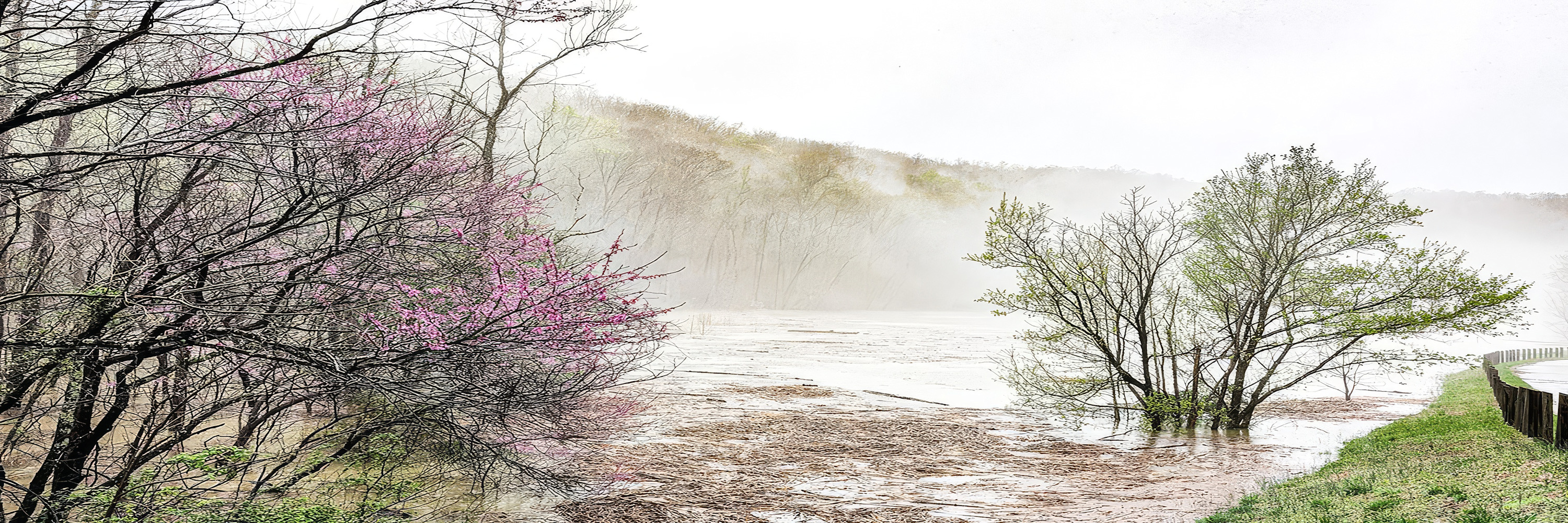 
        <div class='title'>
          image (31)
        </div>
       