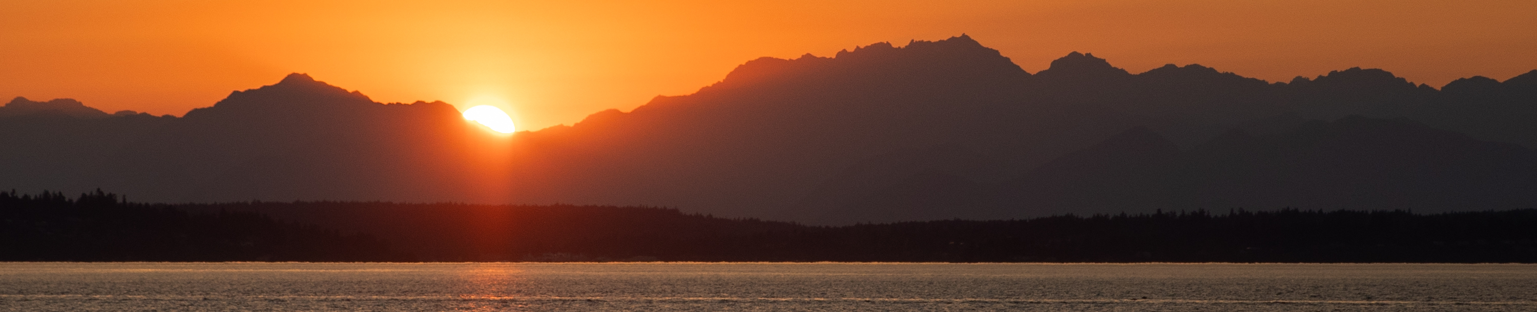 
        <div class='title'>
          Golden Horizon Over Coastal Waters Banner
        </div>
       
