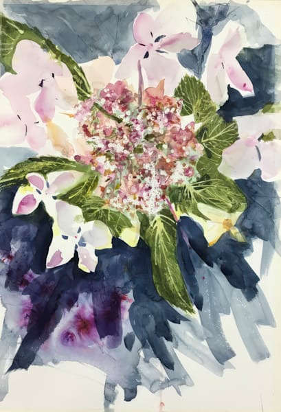 Lace hydrangea debs last dd1cqv lw74jr