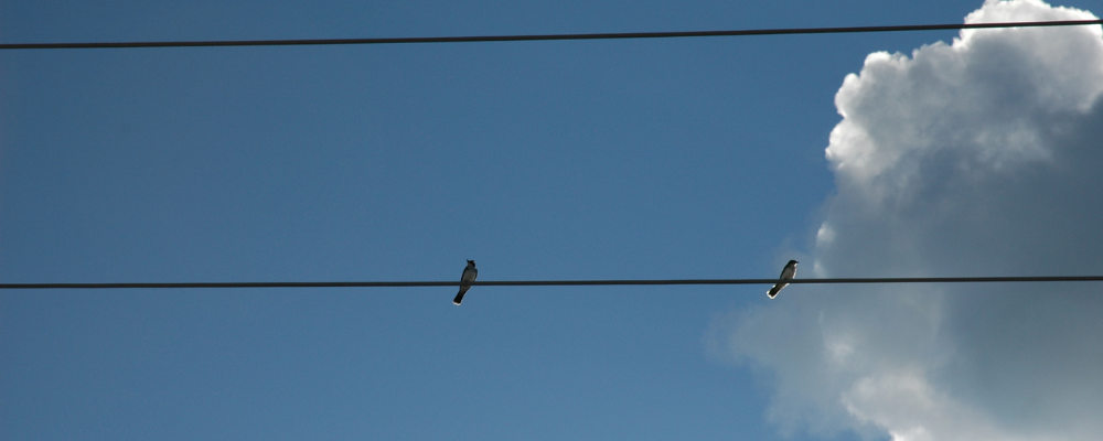 
        <div class='title'>
          Untitled design
        </div>
       