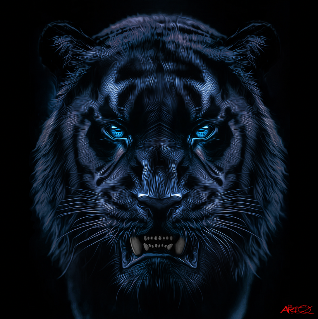 TIGER STORY THE BLACK ONYX 30X30