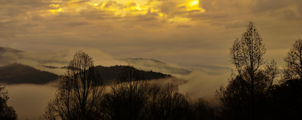 
        <div class='title'>
          Untitled design (1)
        </div>
       