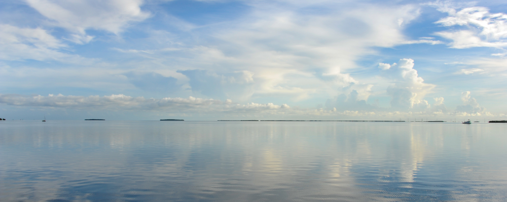 
        <div class='title'>
          Untitled design (2)
        </div>
       