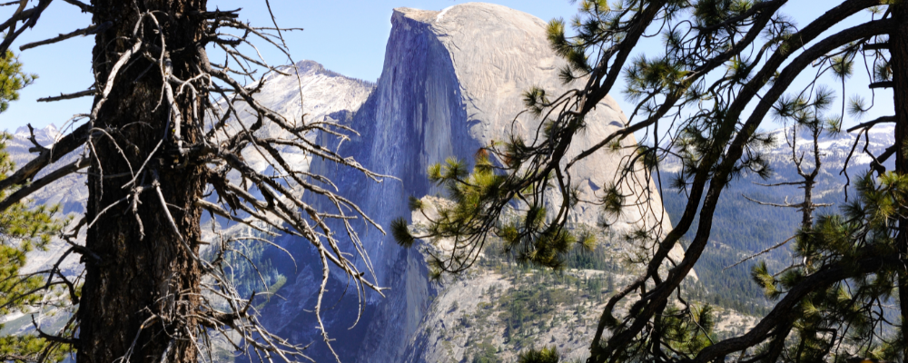 
        <div class='title'>
          Untitled design (3)
        </div>
       