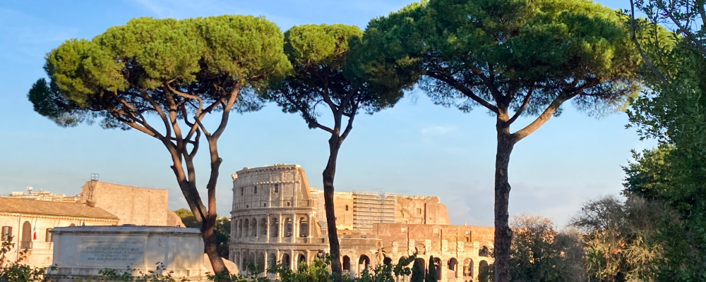 
        <div class='title'>
          Untitled design
        </div>
       