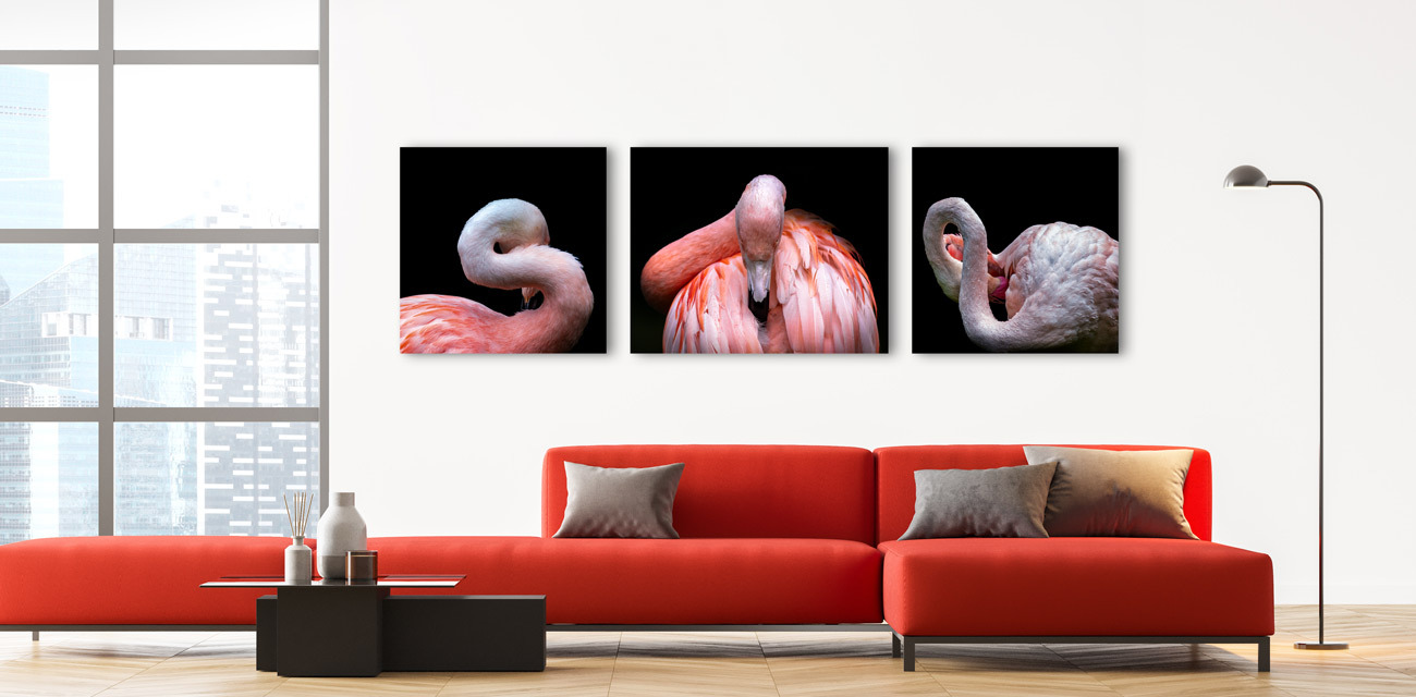 
        <div class='title'>
          dang fine art flamingos
        </div>
       