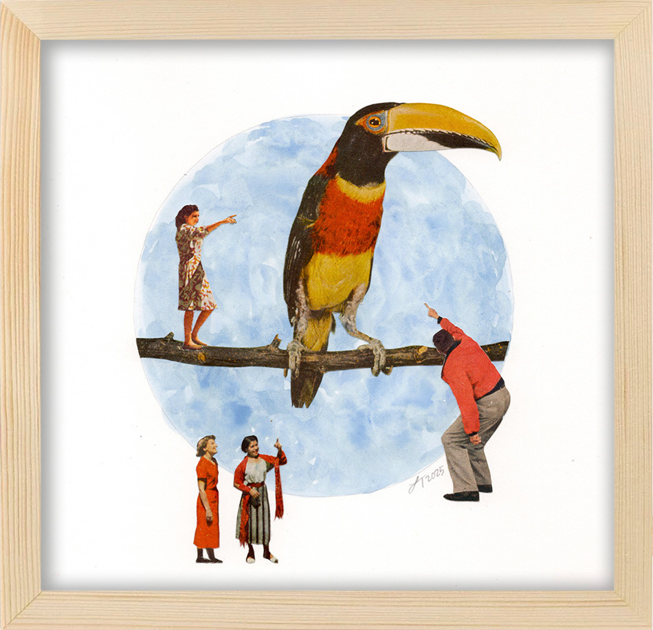 Bigbird framed kb8oi8