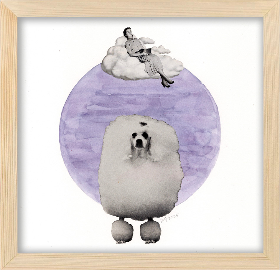 Cloudnine framed v2dtlc