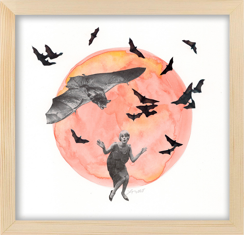 Flappin framed fzcqtw