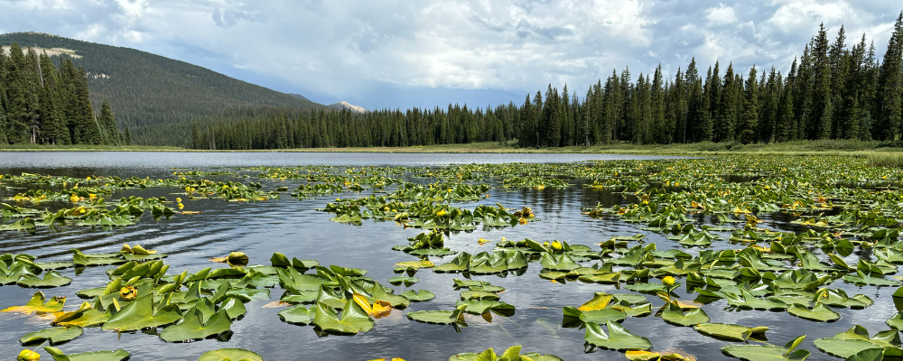 
        <div class='title'>
          Untitled design (2)
        </div>
       