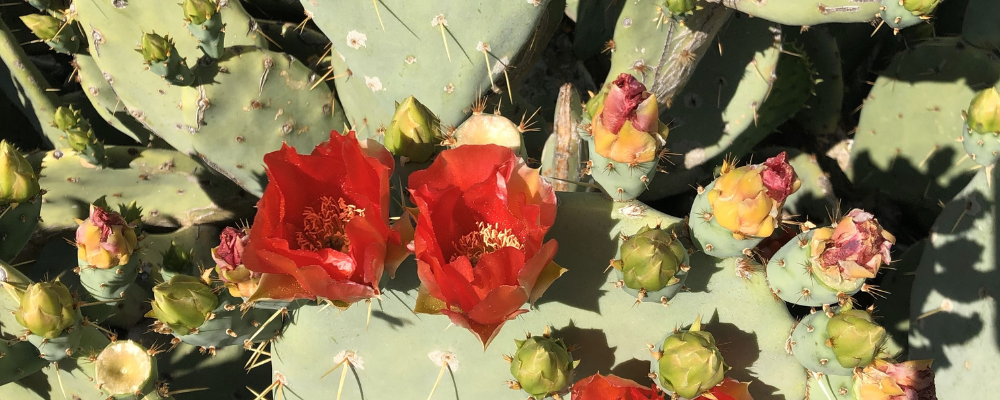 
        <div class='title'>
          Untitled design
        </div>
       