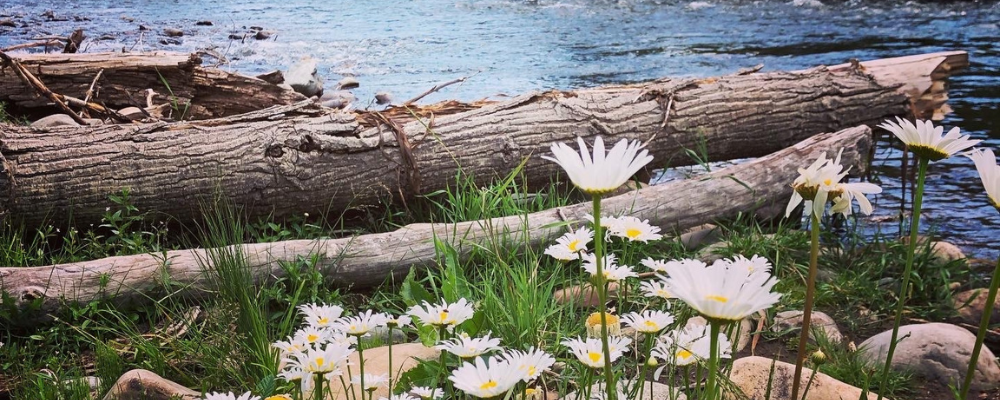 
        <div class='title'>
          Untitled design (1)
        </div>
       