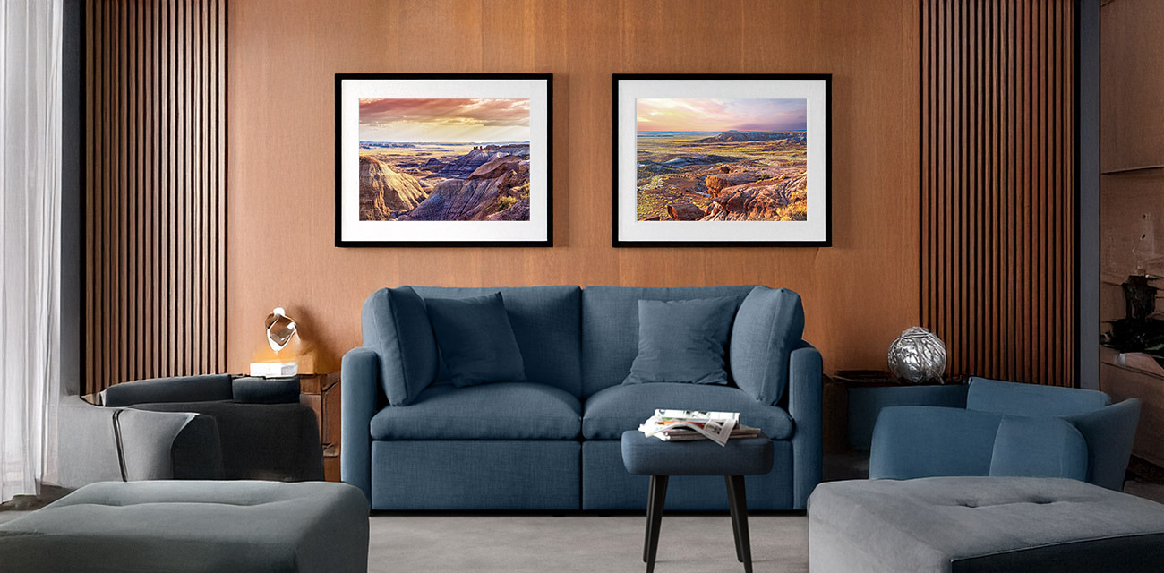 
        <div class='title'>
          dang fine photography painted desert
        </div>
       