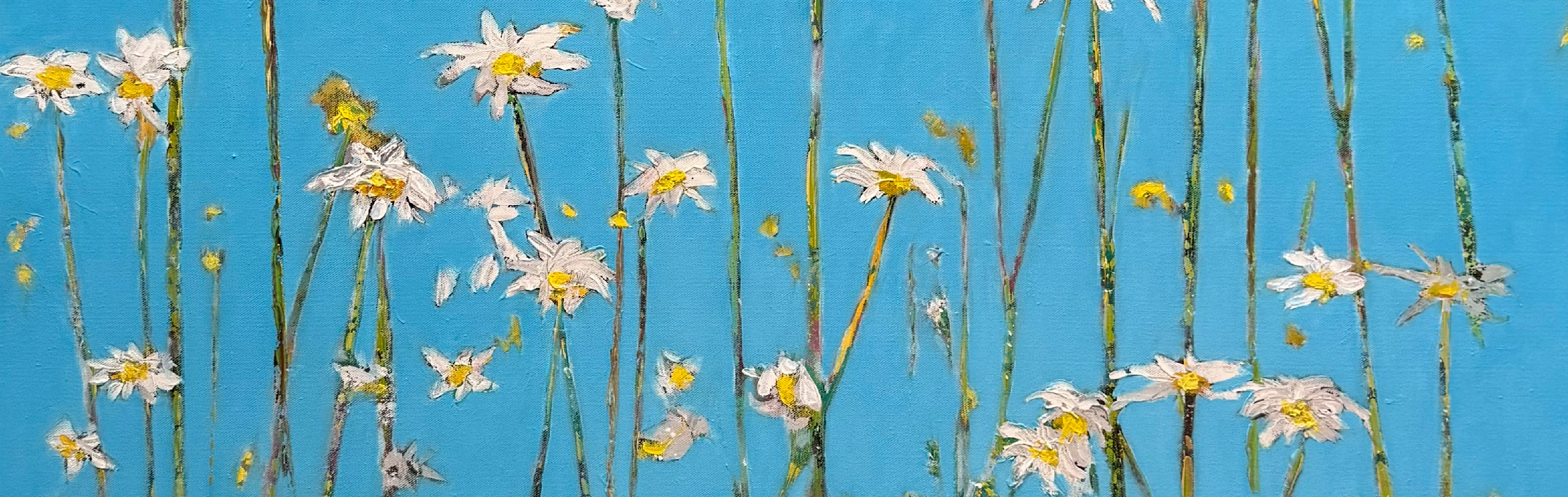
        <div class='title'>
          Daisy Delight
        </div>
       