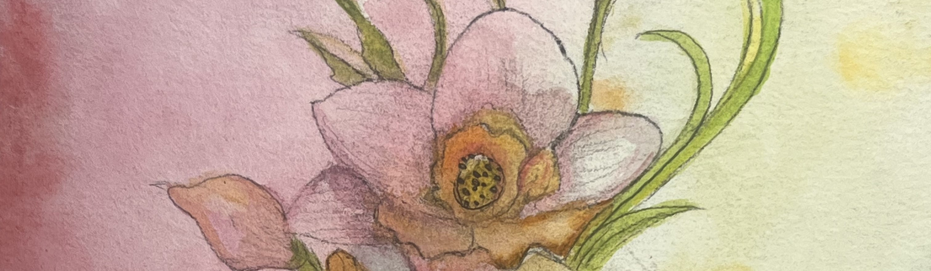 
        <div class='title'>
          IMG 0188 w19esg (3)
        </div>
       