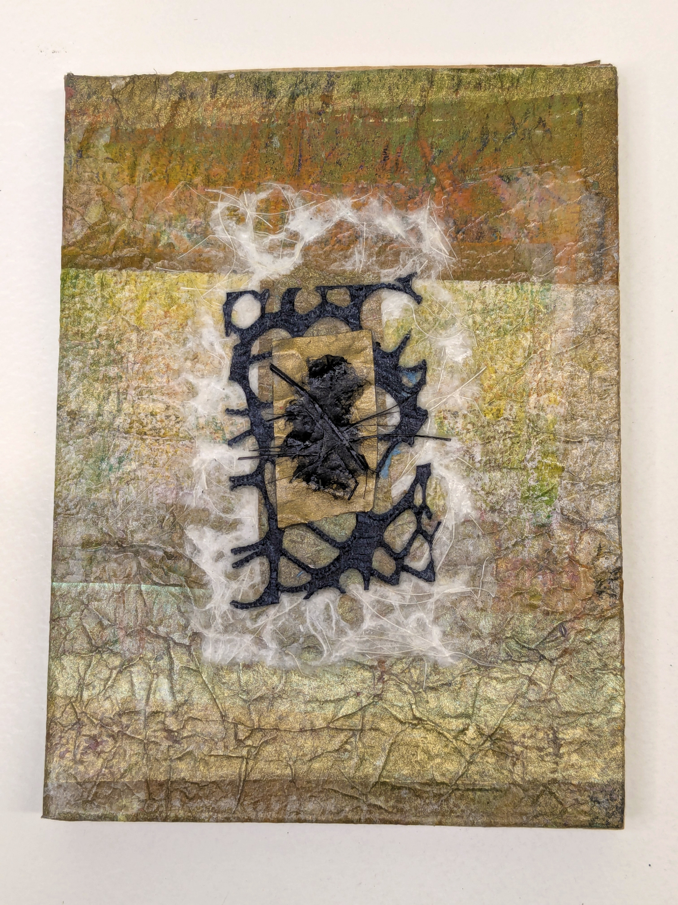 Earthly echoes front vgzvgx