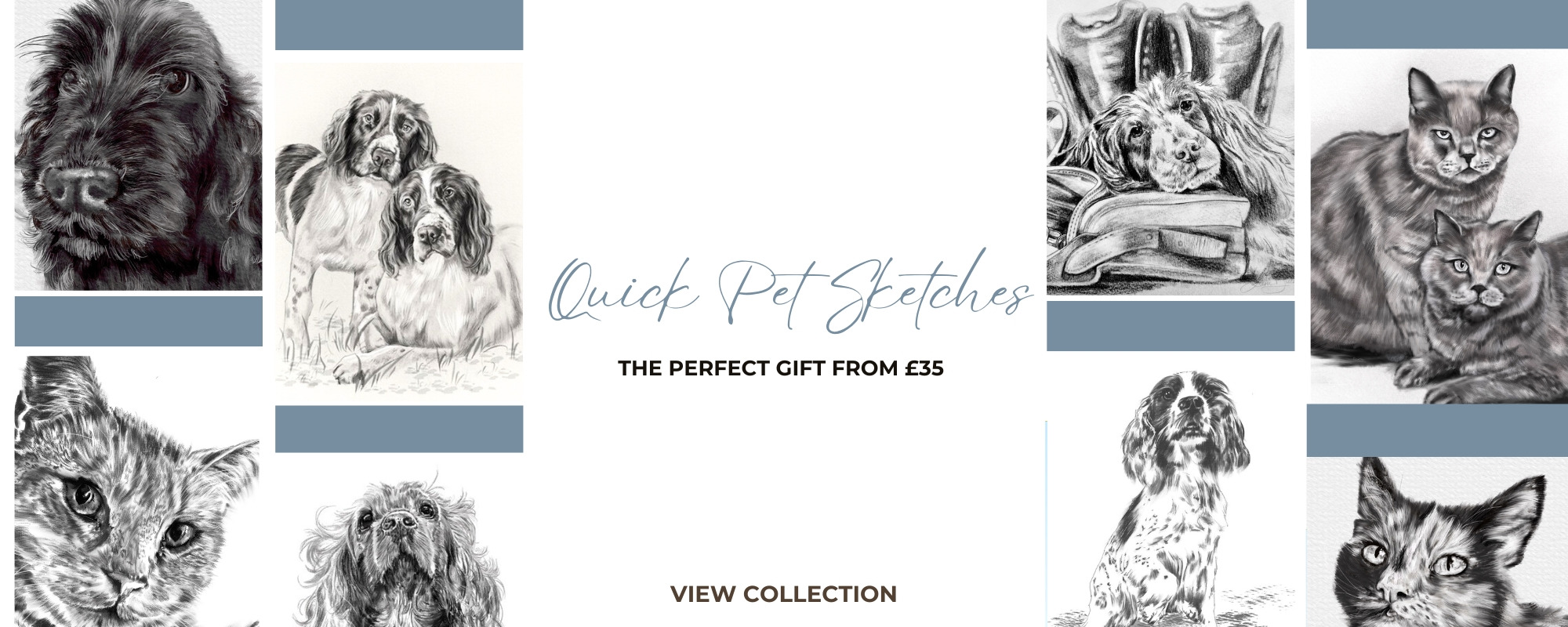 <div class='title'>
          quick pet sketch sam Biddle
        </div>
       
        <div class='description'>
          Pet Sketch
        </div>