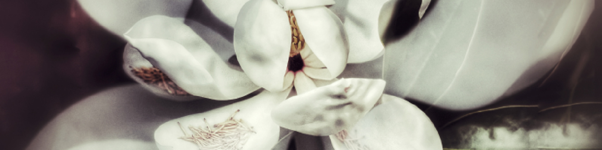 <div class='title'>
          New Project
        </div>