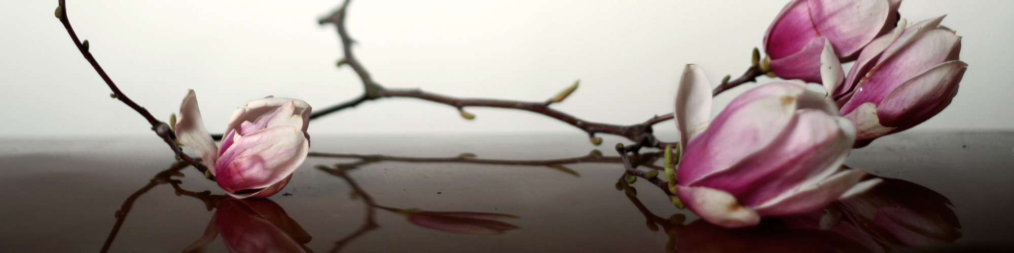 <div class='title'>
          New Project (1)
        </div>