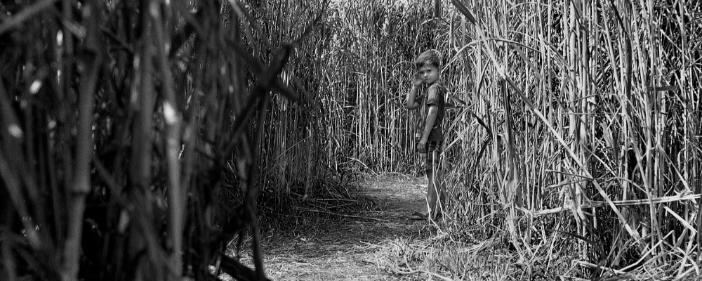 
        <div class='title'>
          Untitled design (4)
        </div>
       