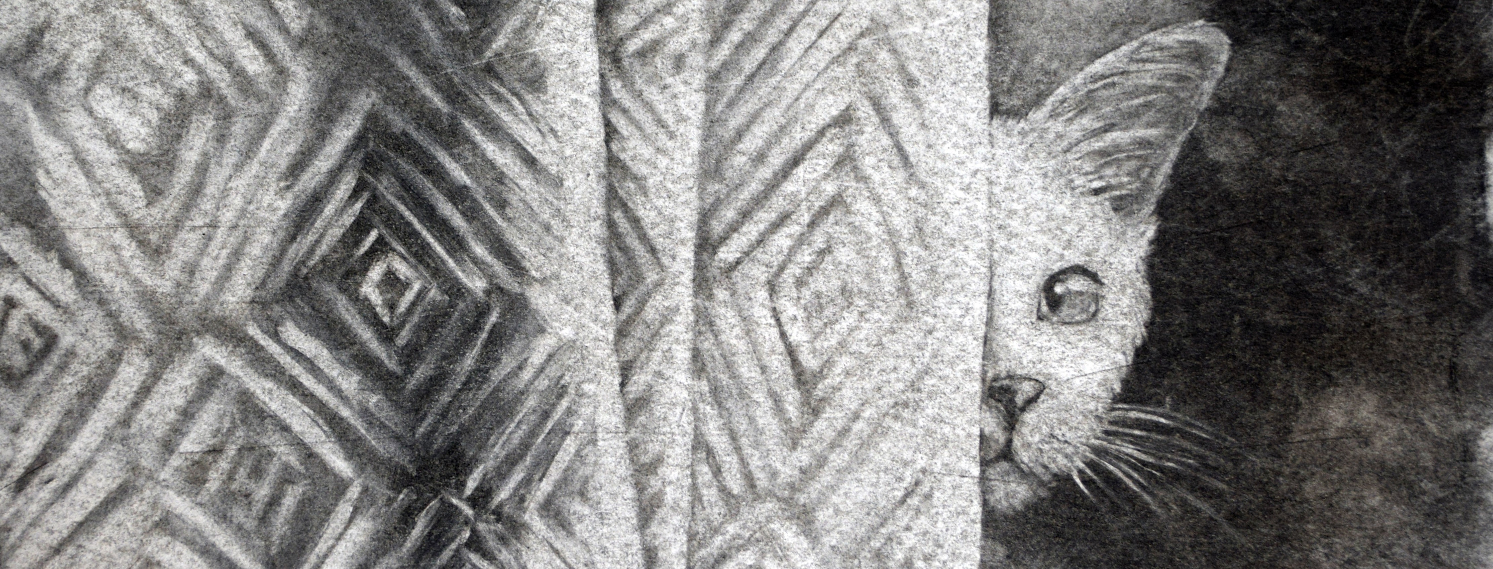 
        <div class='title'>
          Curtains
        </div>
       