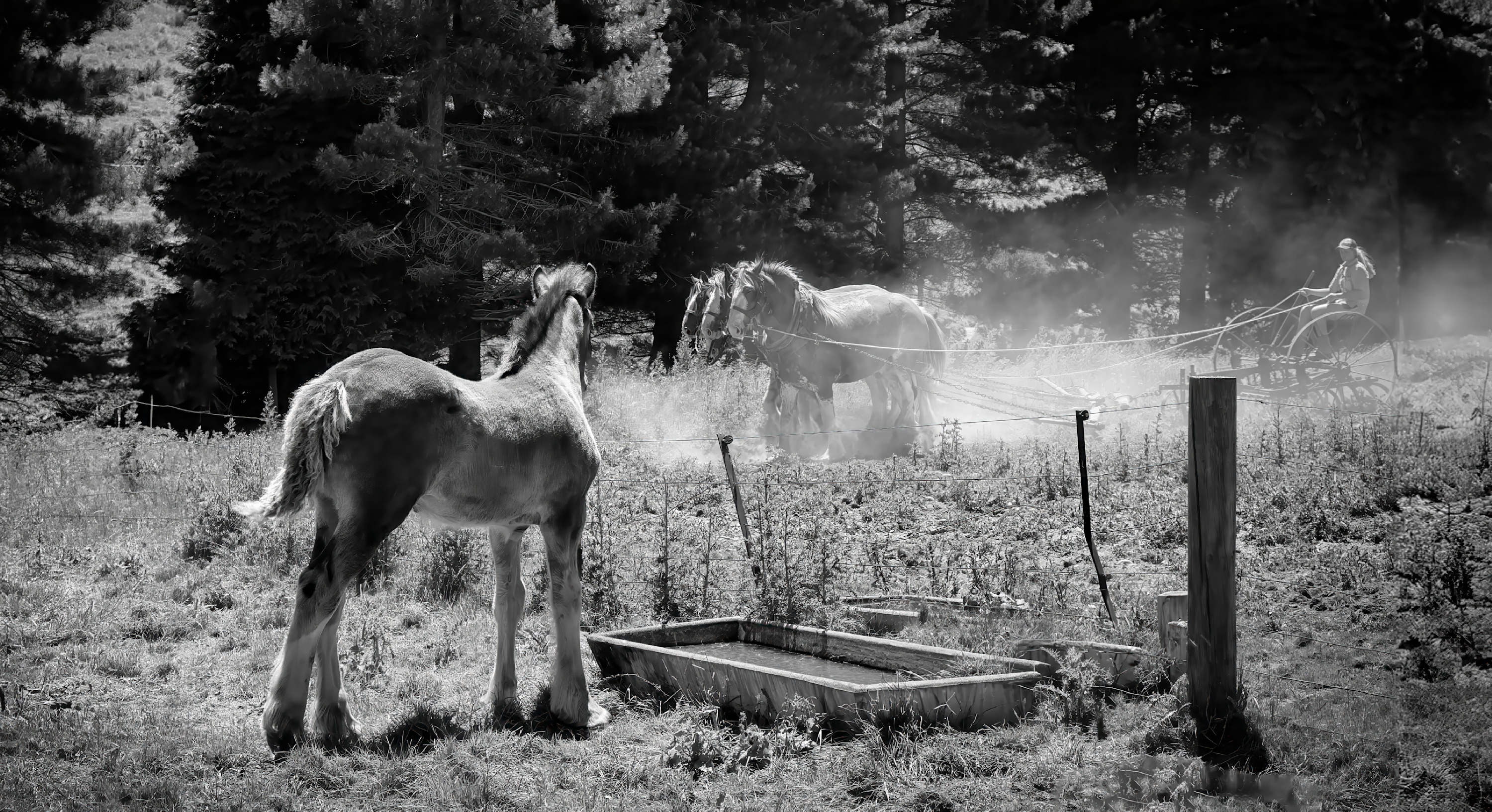 Drivingtheteam2 tqwy11