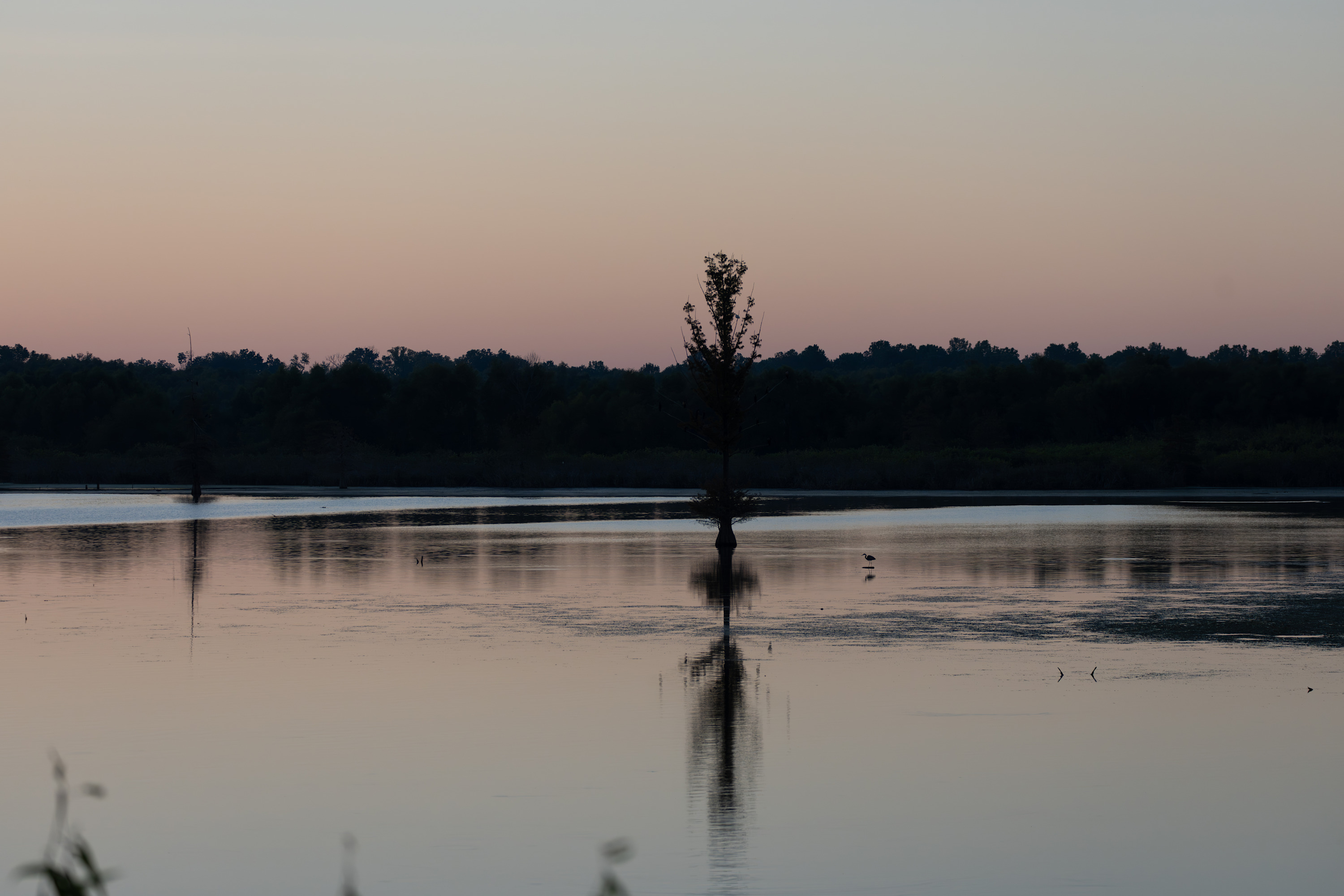 
        <div class='title'>
          Twilight Reflections
        </div>
       