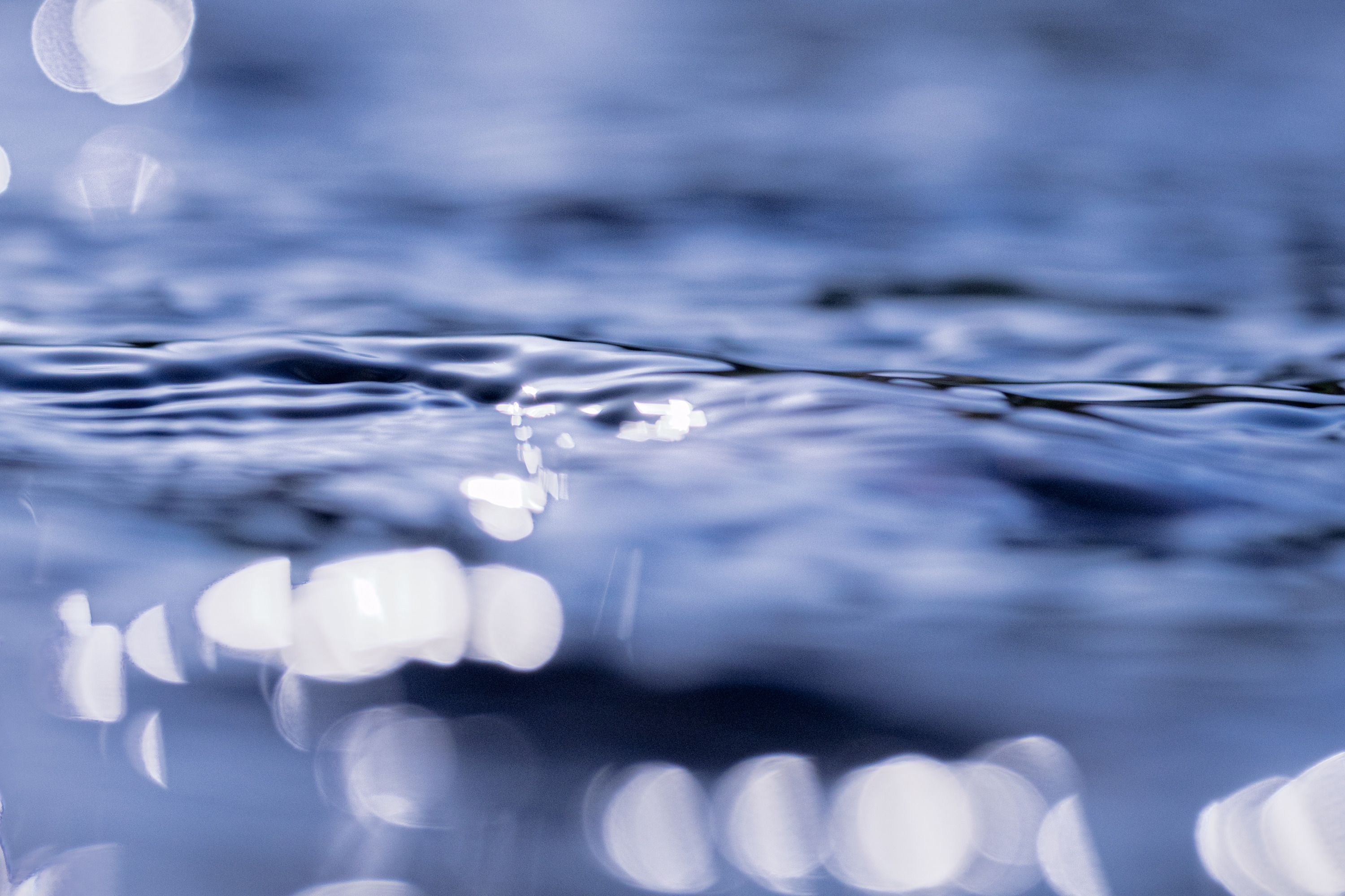 
        <div class='title'>
          Surface of Silence
        </div>
       