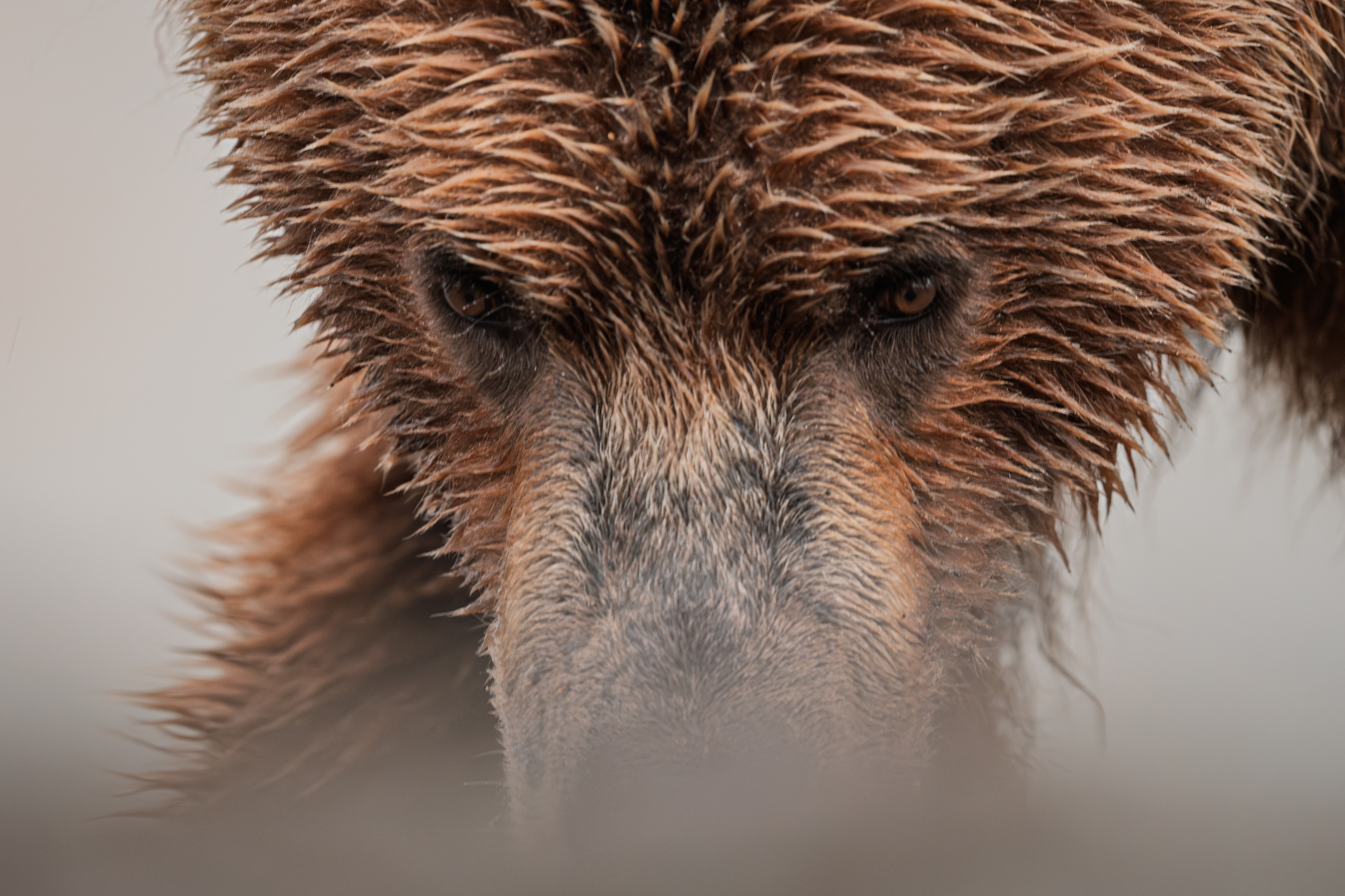 
        <div class='title'>
          Intensity
        </div>
       