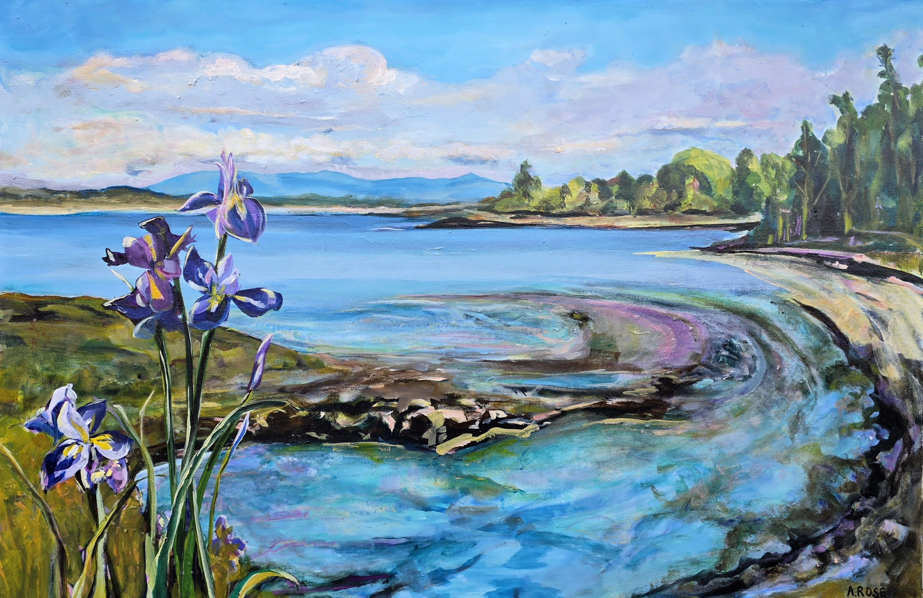 Saanichton bay zlehui