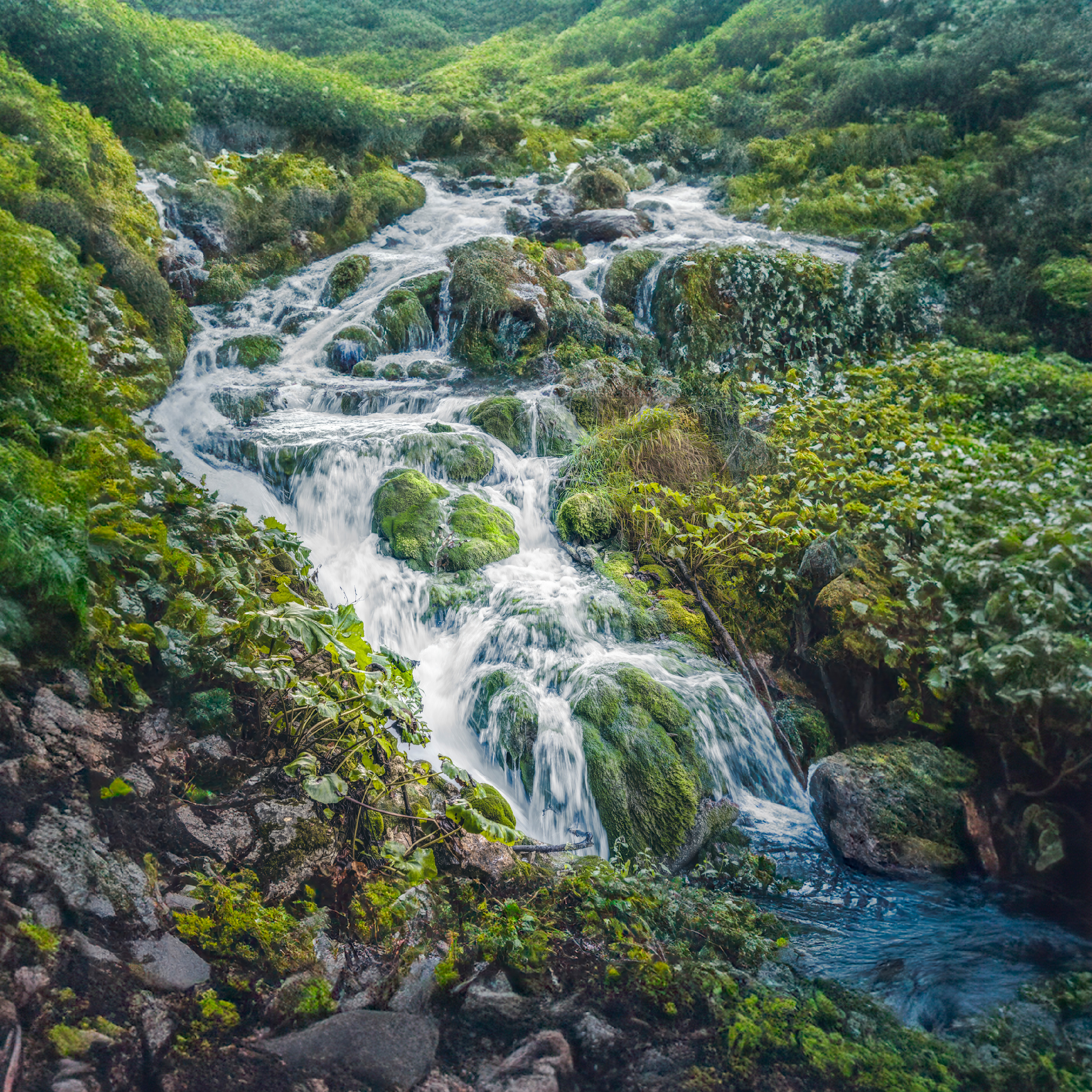 Woodlandfalls3 ssvedg