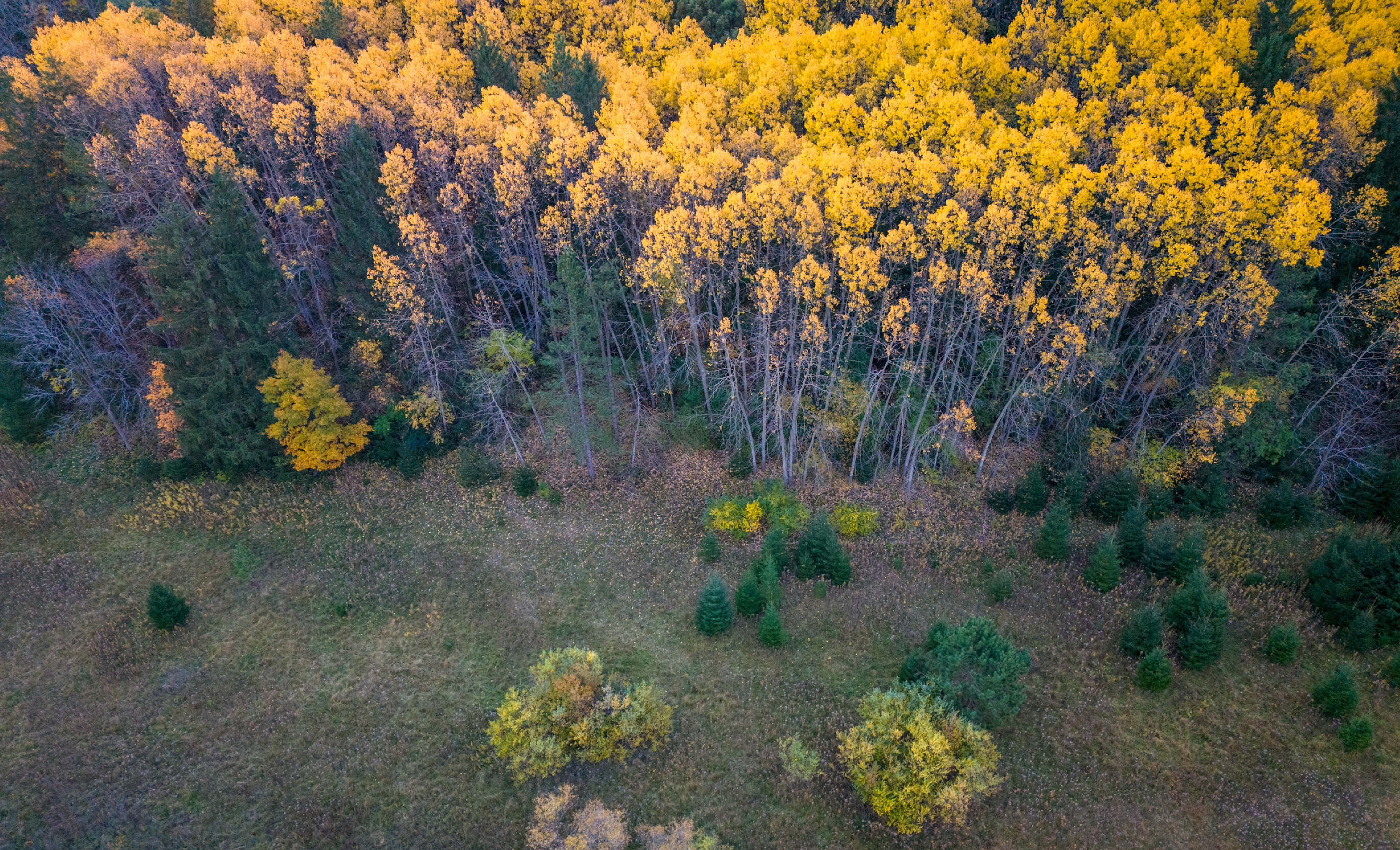 Untitled 21 2 hdr gu9pfm