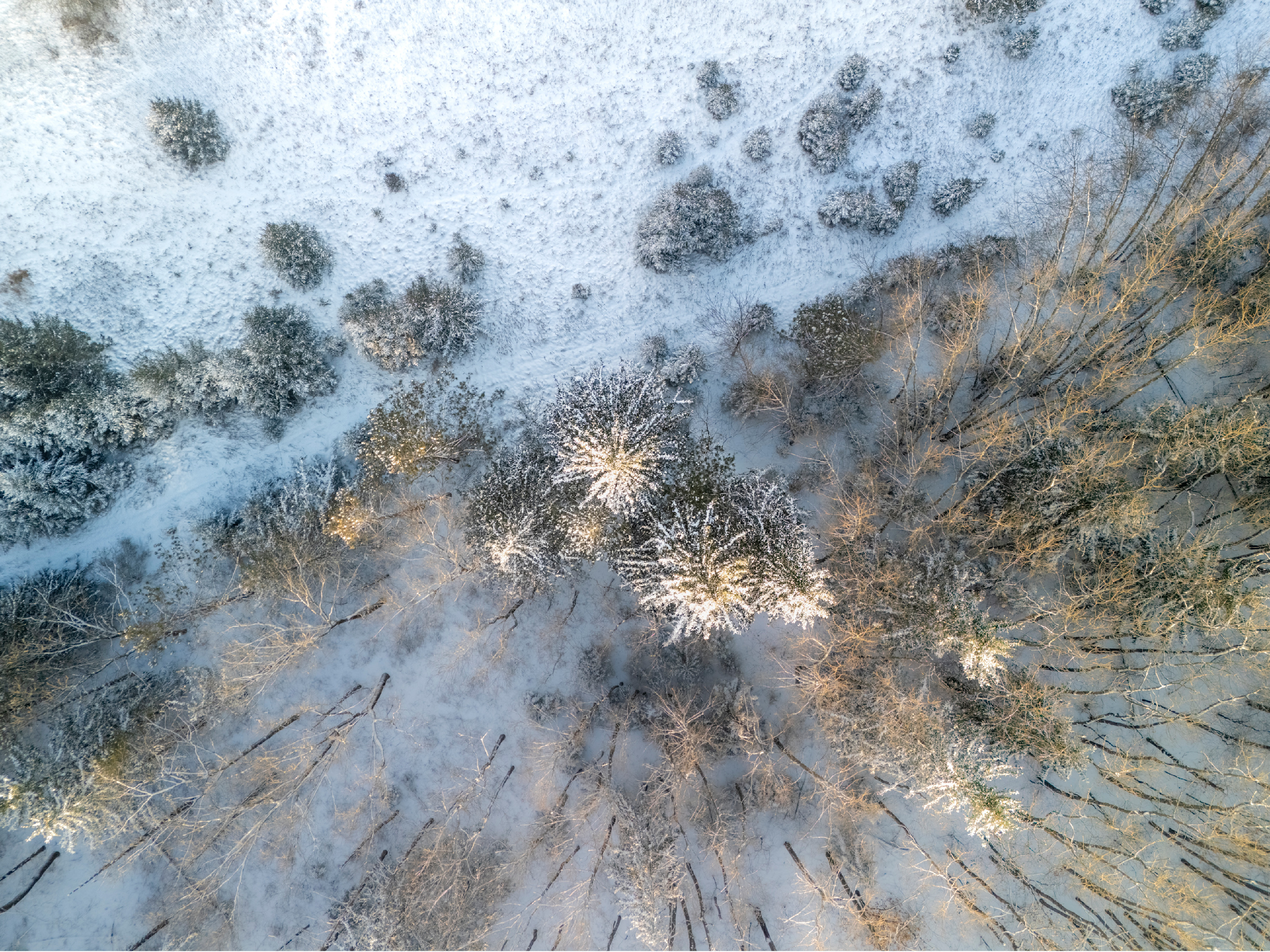 Untitled 46 2 hdr vhkuaj