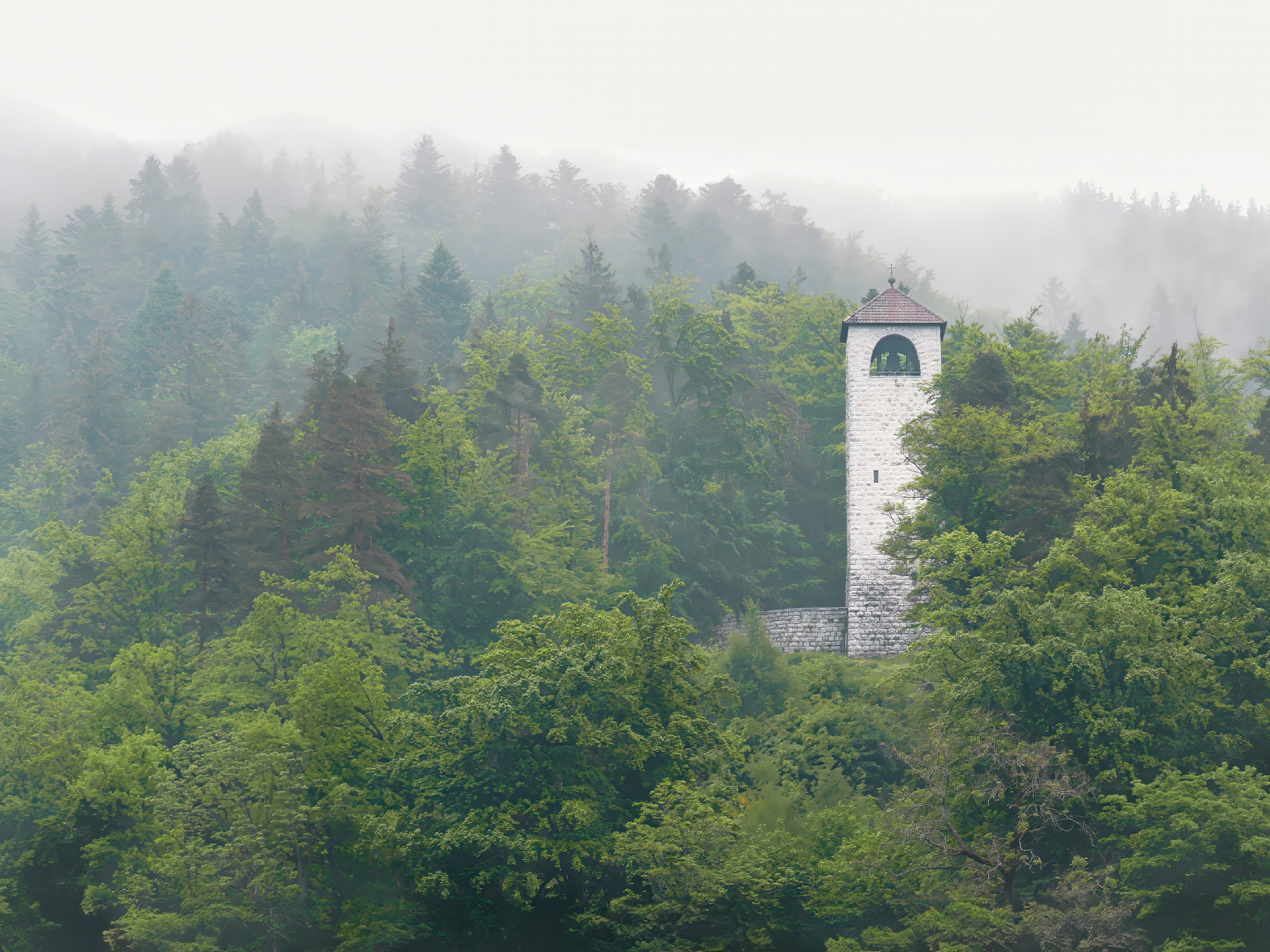 Montesarybells gujb0k