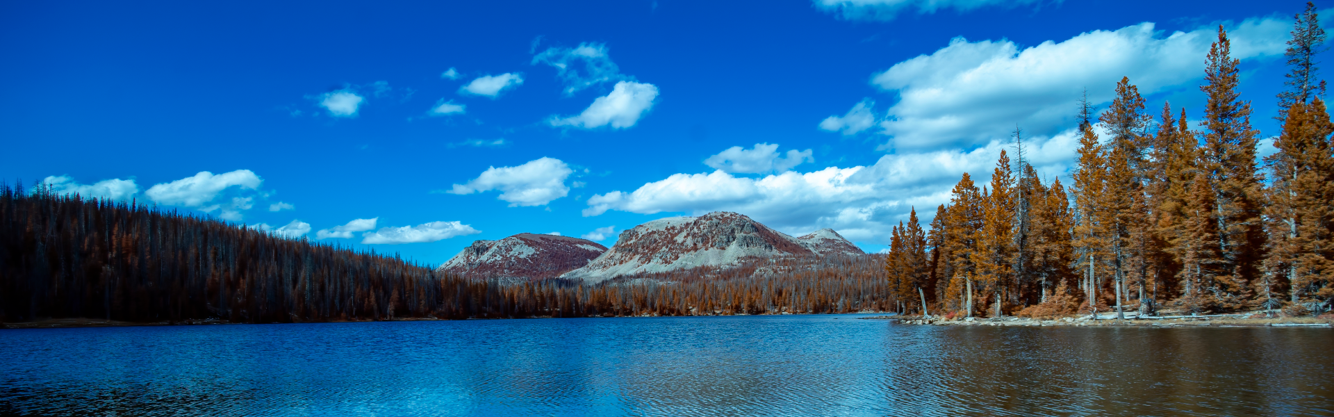 
        <div class='title'>
          Img 0428 Denoiseai Standard Lance S Pryor
        </div>
       