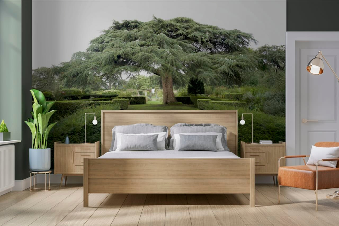 Muralwood   9 of 10 tpdtgt