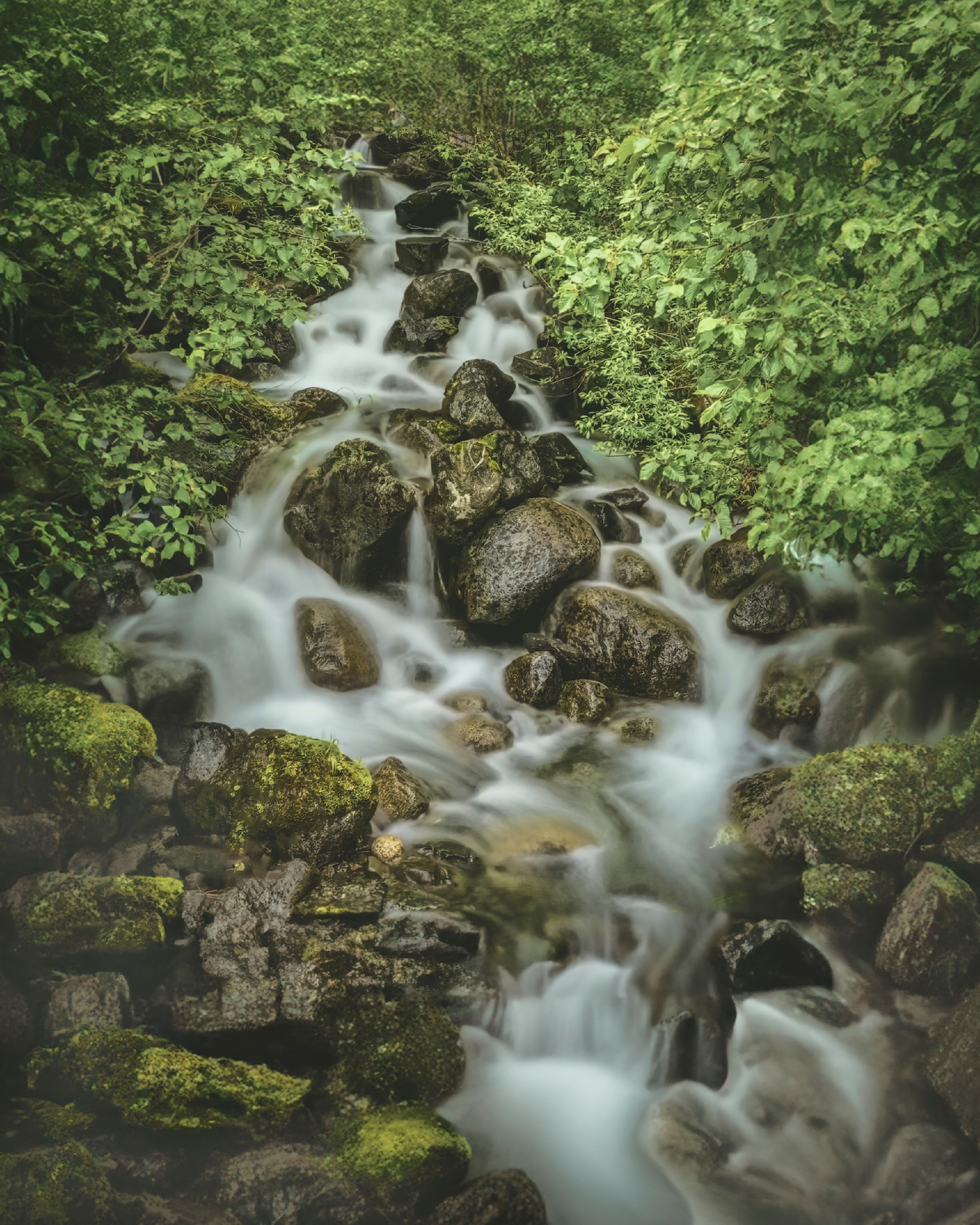 Woodlandfalls1 vljbei