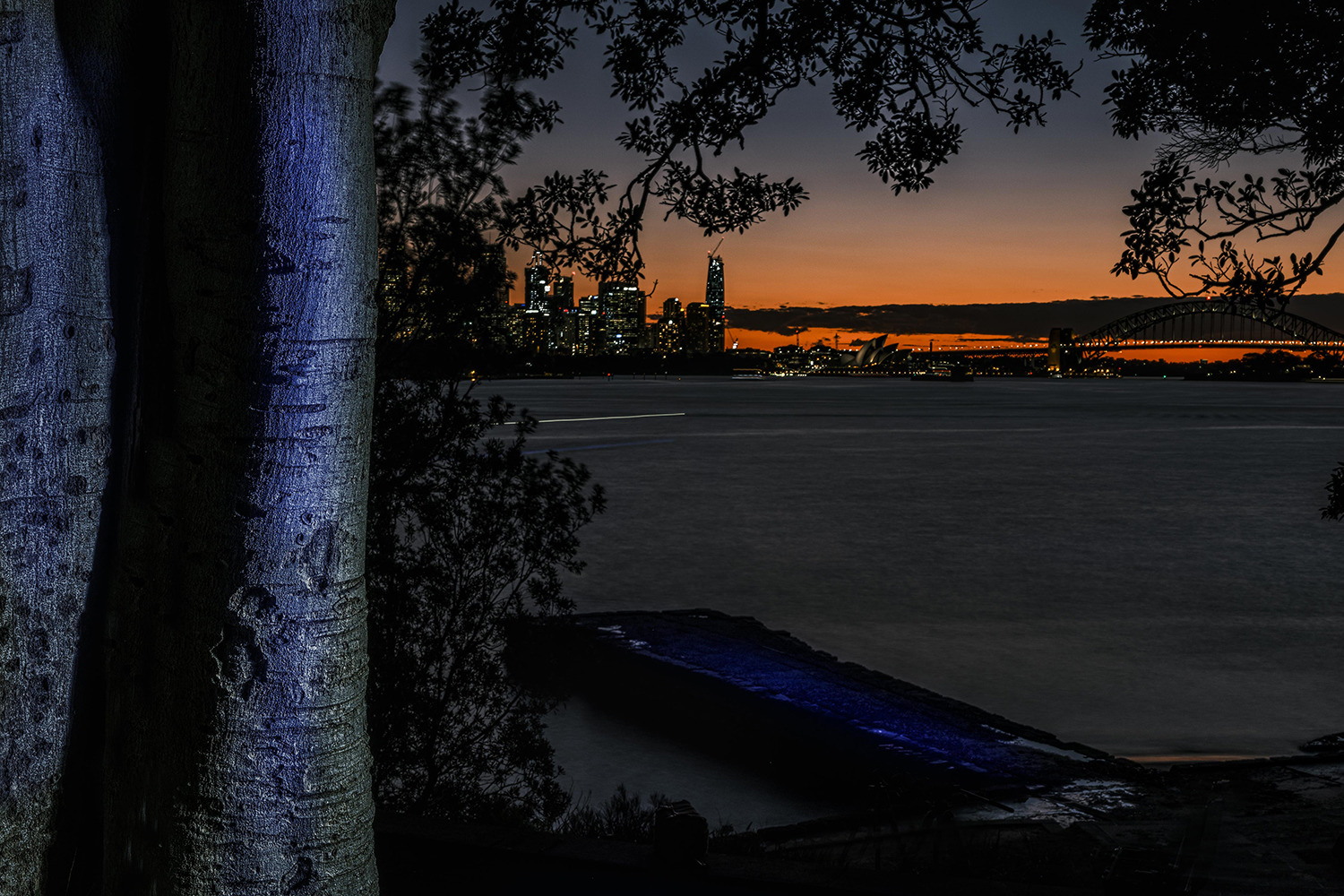 Light painting landscapes australia by anastasebradleys head tree by catalin anastase13 catalin anastase xorqb1