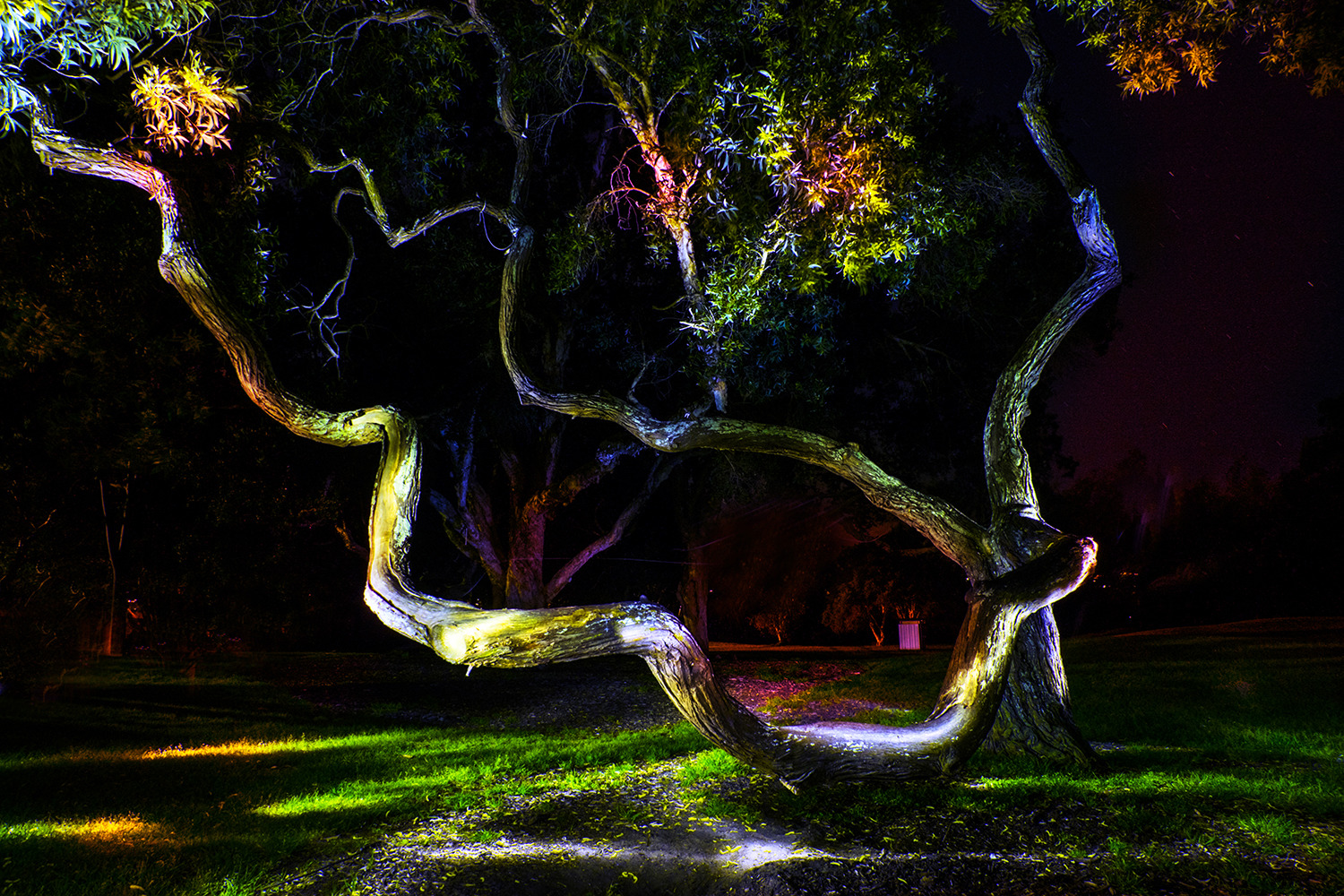 Light painting landscapes australia by anastasetreeelectric44 catalin anastase zzg3bv