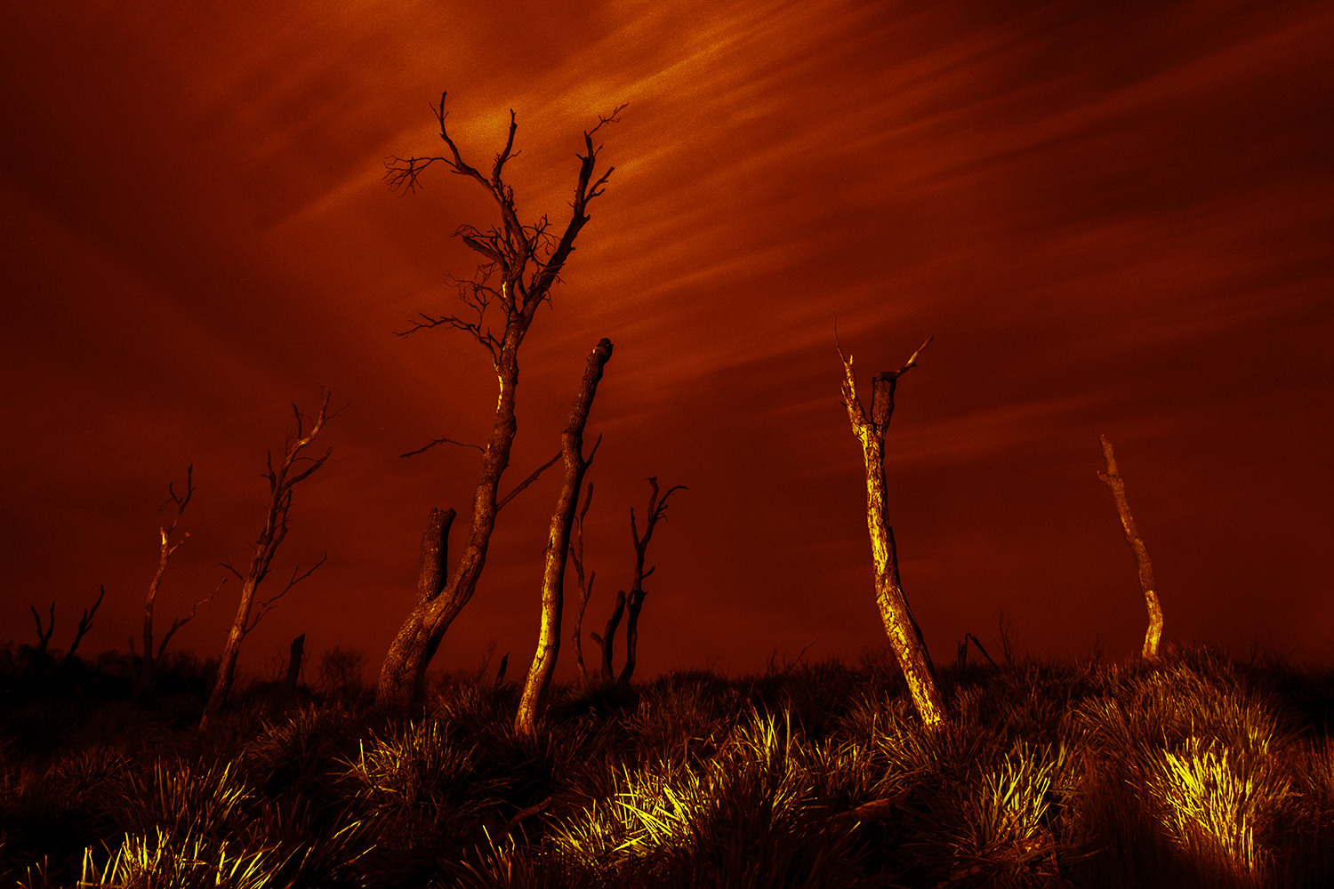 Light painting landscapes australia by anastasetheredsky photo by catalinanastase xtf582543 catalin anastase dgiwpr