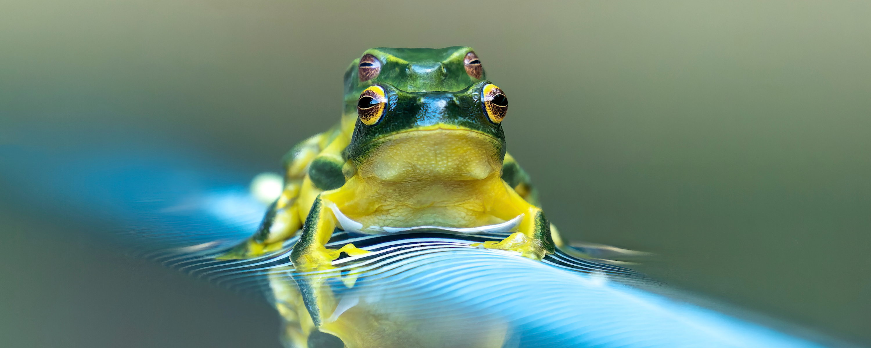 
        <div class='title'>
          3
        </div>
       