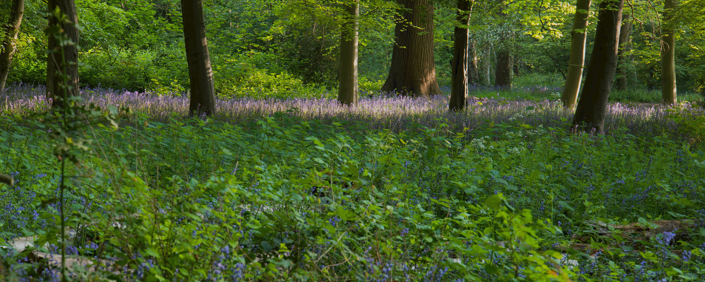 
        <div class='title'>
          2
        </div>
       