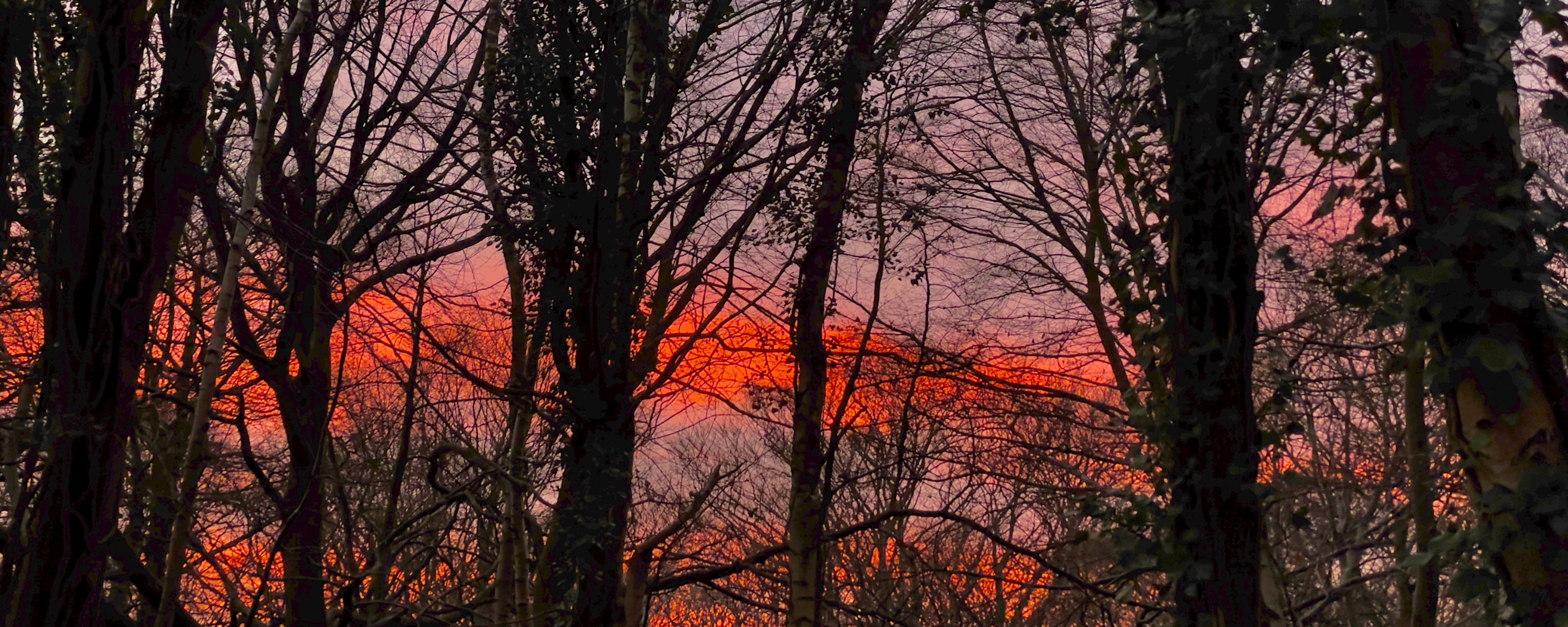 
        <div class='title'>
          3
        </div>
       