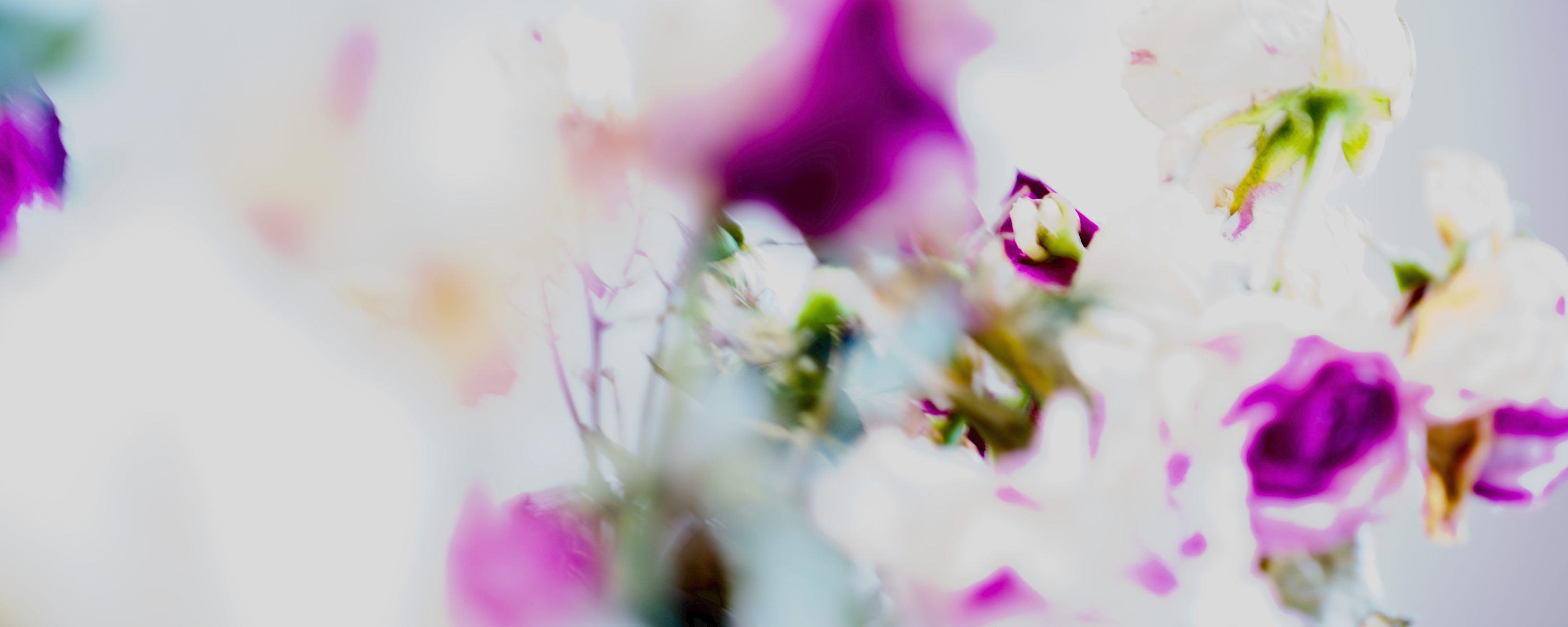 
        <div class='title'>
          4
        </div>
       